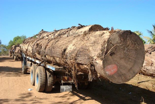 F-logging
