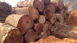 f-logs