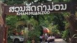 ສວນສັດ ຟາມລ້ຽງສັດ ຢູ່ລາວ ຂາດຣາຍຮັບ