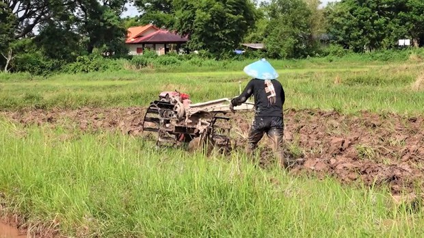 ຊາວກະສິກອນ ປະເຊີນຕົ້ນທຶນ ການຜະລິດທີ່ສູງຂຶ້ນ