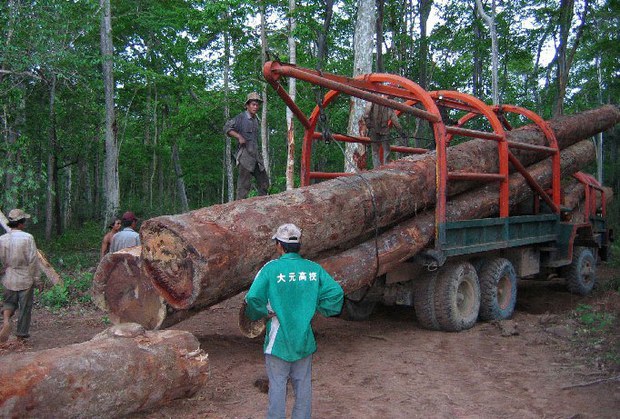 F-logging