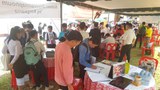 ນັກສຶກສາລາວຈົບໃໝ່ ຮຽນມາ ຫາວຽກບໍ່ມີ