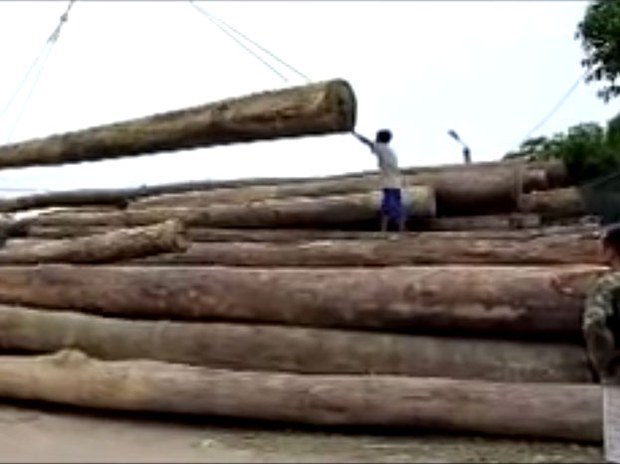 f-logs f-logs