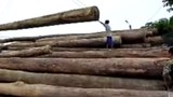 f-logs