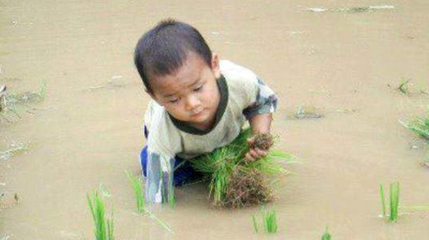 F-farmer-boy