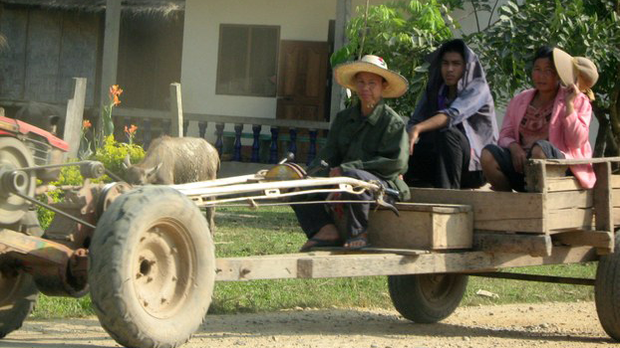 f-farmers