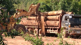 f-logs