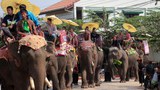 F-elephants