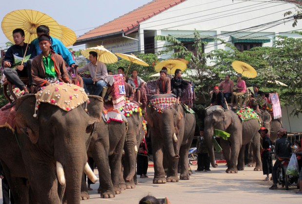 F-elephants