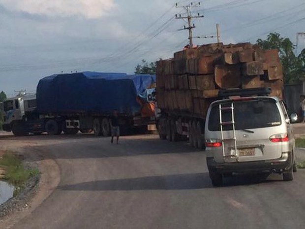 f-logs
