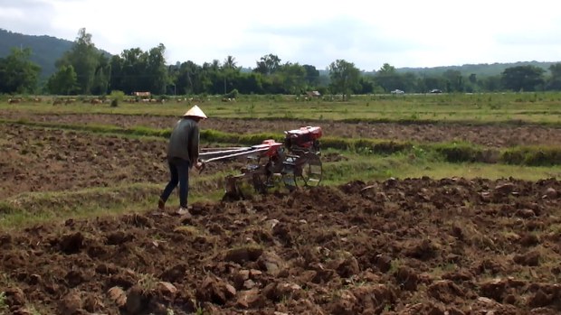 F-Lao-farmer