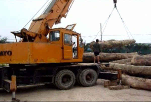 F-Saravan-log