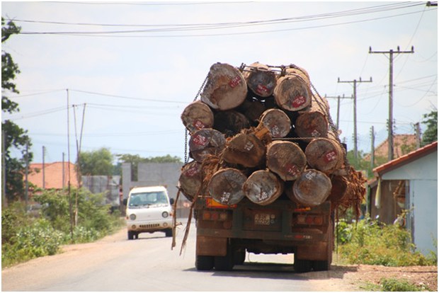 F-Logs