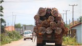 F-Logs