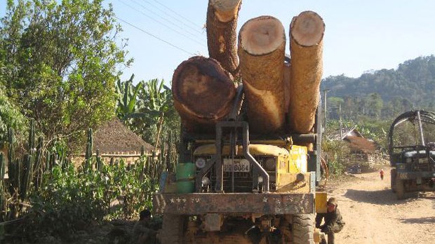f-logs