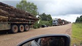 F-Logs