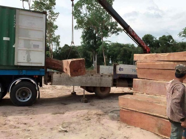 F-Logs-truck