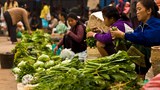 F-Vegetables