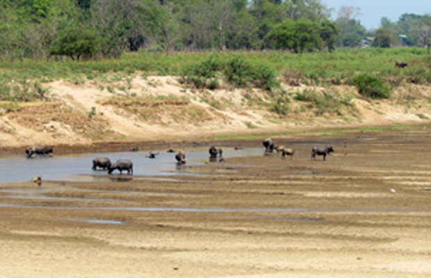 F-Mekong