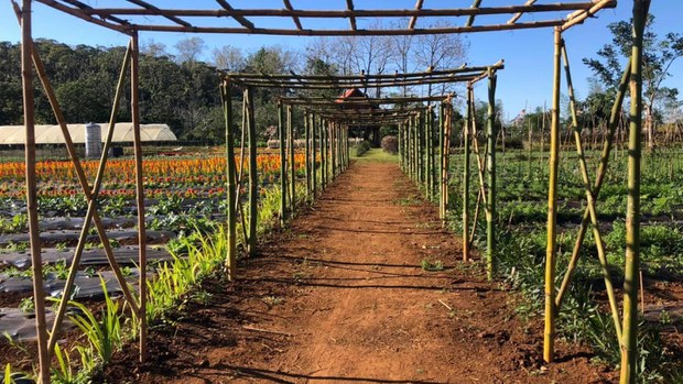 ຊາວປາກຊ່ອງບໍ່ຢາກໃຫ້ ສ້າງເມືອງໃໝ່