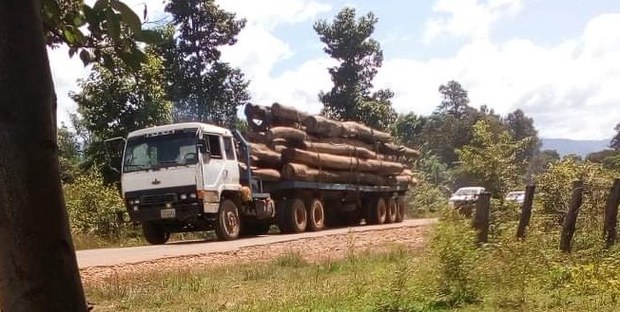 ໄຟຂຽວ ສົ່ງໄມ້ອອກ, ເມີນເສີຽຄຳສັ່ງ 15/ນຍ