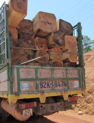 F-logs F-logs