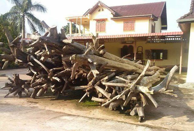 F-logs