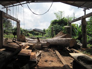 F-logs F-logs