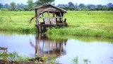 Fwet-land