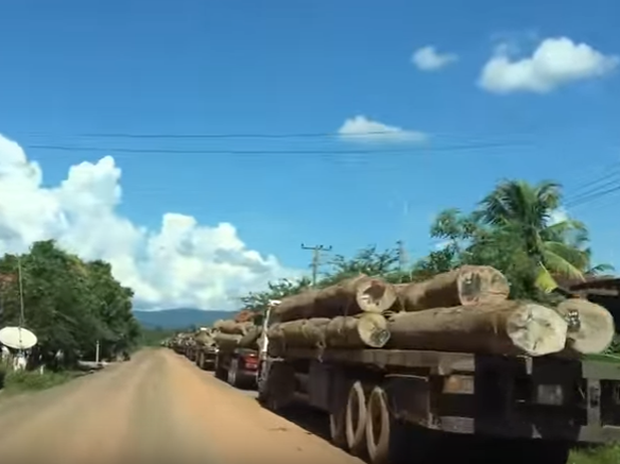 f-logs