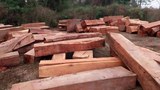 f-logs-hongsa