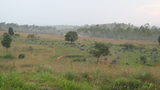 F-Xiengkhouang