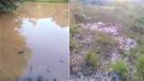 ຊາວບ້ານ ຢູ່ເມືອງແປກ ໄດ້ຮັບຜົລກະທົບ ຈາກໂຄງການ ສຳຣວດແຮ່ຄຳ