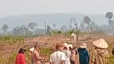ເຈົ້າໜ້າທີ່ພົບ ມີການບຸກລຸກປ່າໄມ້ 5,800 ເຮັກຕ້າຣ໌ ຢູ່ເມືອງສະໜາມໄຊ