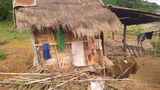 ສວນມັນຕົ້ນ ທາງແຂວງພາກເໜືອ ເສຍຫາຍ ຈາກນ້ຳຖ້ວມ