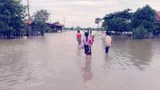 f-flood
