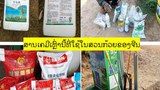 ການໃຊ້ສານເຄມີ ຍັງມີຢູ່ ໃນບາງແຂວງ