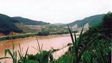 f-jinghong