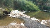 F-TRash