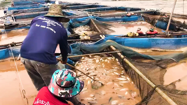 ການສ້າງເຂື່ອນໄຟຟ້າ, ໂຄງການຕ່າງ ລ້ວນແຕ່ສົ່ງຜົລກະທົບ ກັບວິຖີຊີວິດຊາວບ້ານ
