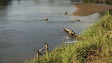 F-Korean-Fishing