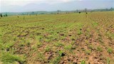 ຊາວເມືອງຈຳພອນ ປະສົບບັນຫາ ພັຍແຫ້ງແລ້ງ ທຸກປີ