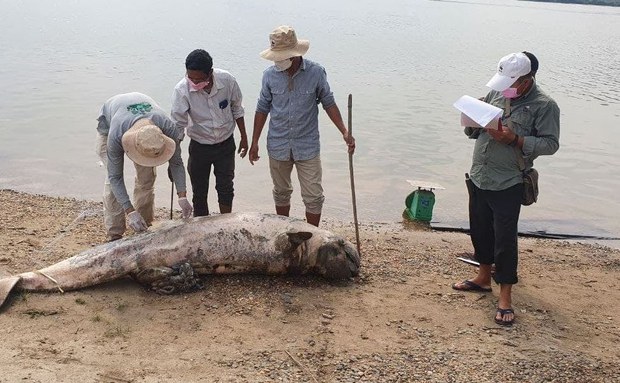 ປາຂ່ານ້ຳຈືດສູນພັນ ກະທົບຊາວບ້ານ ແຄມຂອງ ຢູ່ເມືອງໂຂງ ປາຂ່ານ້ຳຈືດສູນພັນ ກະທົບຊາວບ້ານ ແຄມຂອງ ຢູ່ເມືອງໂຂງ