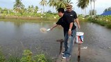 F-fish-farm