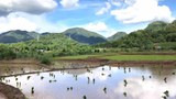 ຊາວນາ ເມືອງຫົງສາ ຍັງຕ້ອງການ ຄວາມຊ່ອຍເຫຼືອ ຈາກຣັຖ