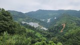 ປ່າໄມ້ໃນລາວ ຖືກຕັດທຳລາຍ ຍ້ອນໂຄງການພັທນາ ຕ່າງໆ
