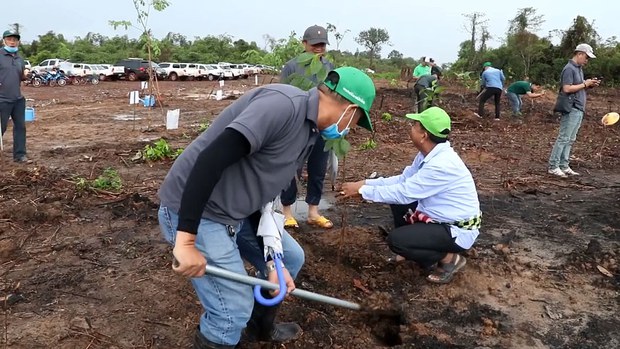 ໂຄງການປູກຕົ້ນໄມ້ ຂອງພາກຣັຖ ຍັງຂາດການຮັກສາ ເບິ່ງແຍງ