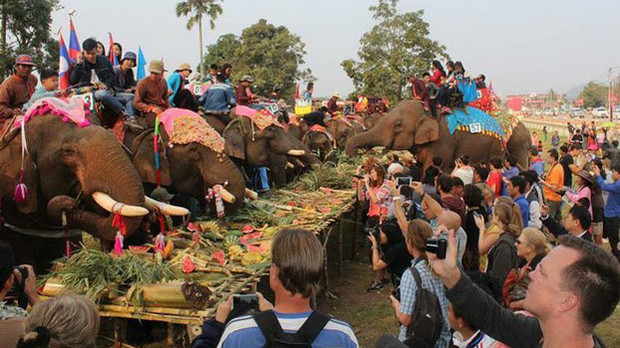 F-elephants