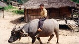 F-luangnamtha