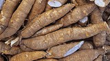 f-cassava